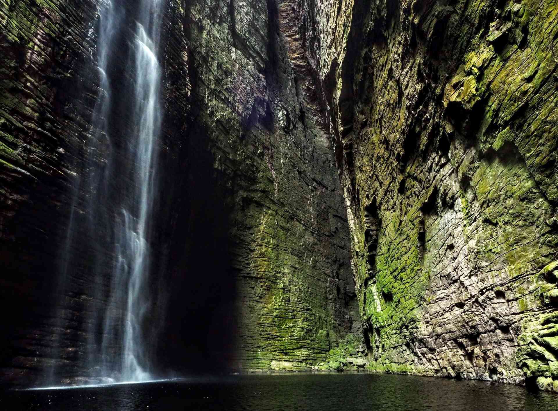 rainforest tours in brazil