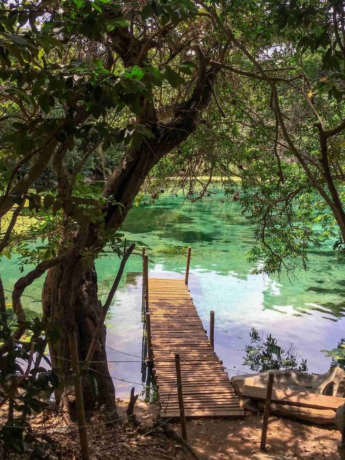 a wooden dock extending out above the emerald green lake at Pratinha farm