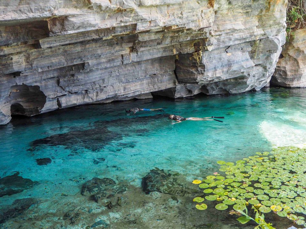 snorkelers swimming in the turquoise water of the Pratinha River 