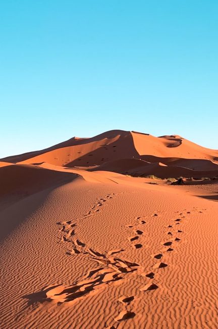 An incredible trip to the Sahara desert in Morocco