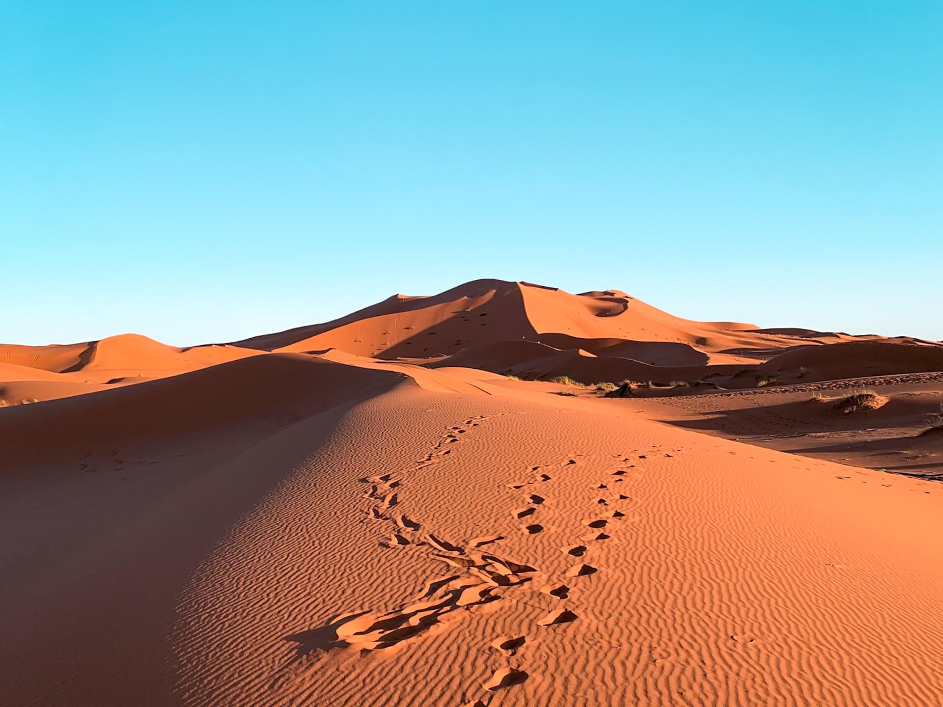 SAHARA