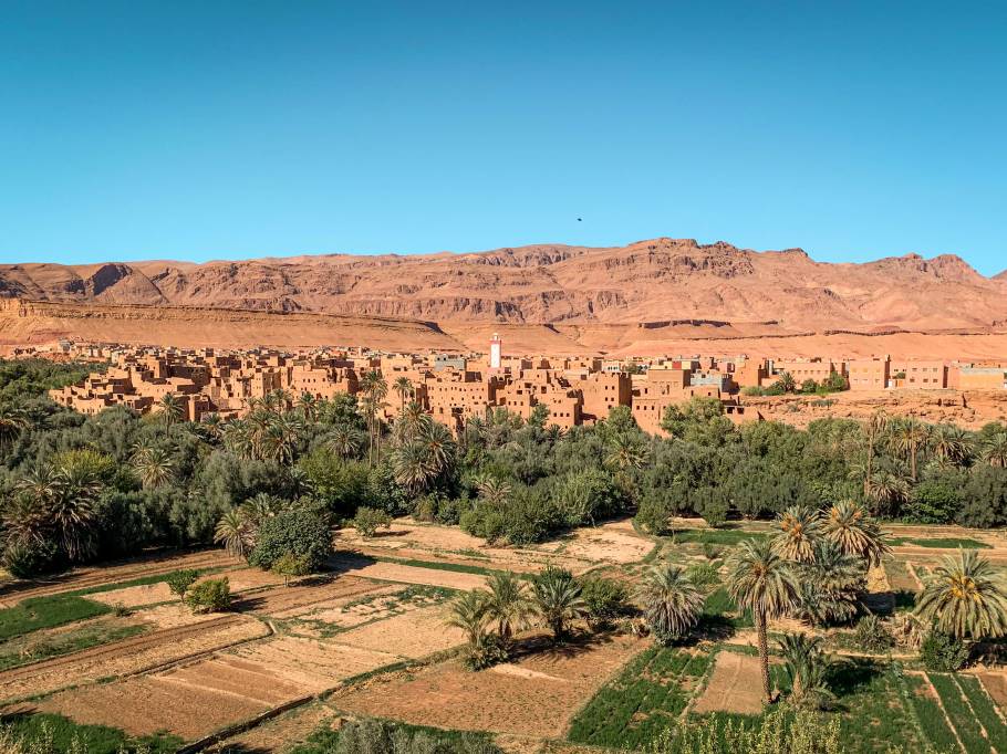 Lush green palm grove in Tinghir Oasis, Morocco