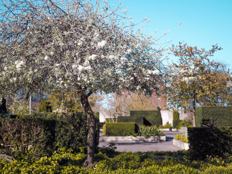a unique waterfront park called Amaliehaven, one of the least-known Copenhagen hidden gems