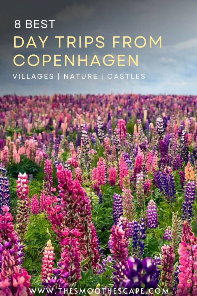 A Pinterest pin with an image of a field of purple and pink lupines and a text overlay stating '8 best day trips from Copenhagen: villages, nature, castles'.