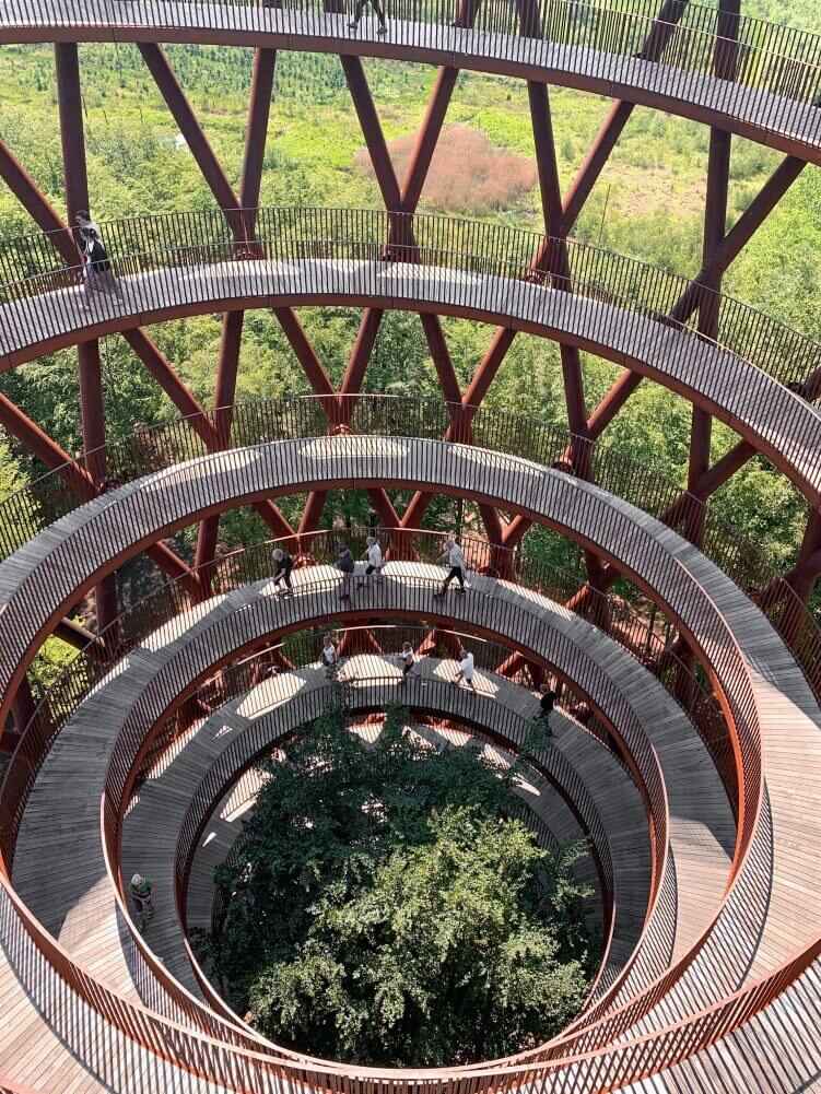 Views from The Forest Tower in Camp Adventure over South Zealand fields and forests