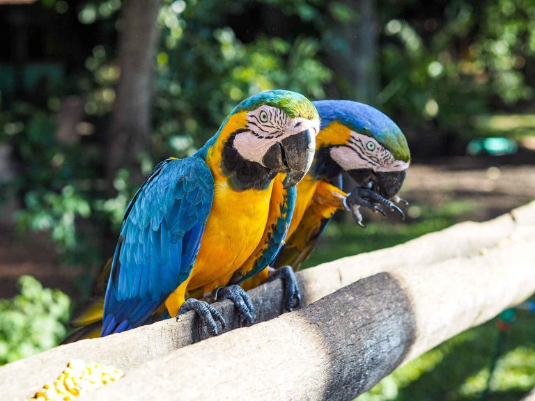 5 sustainable travel documentaries you should watch