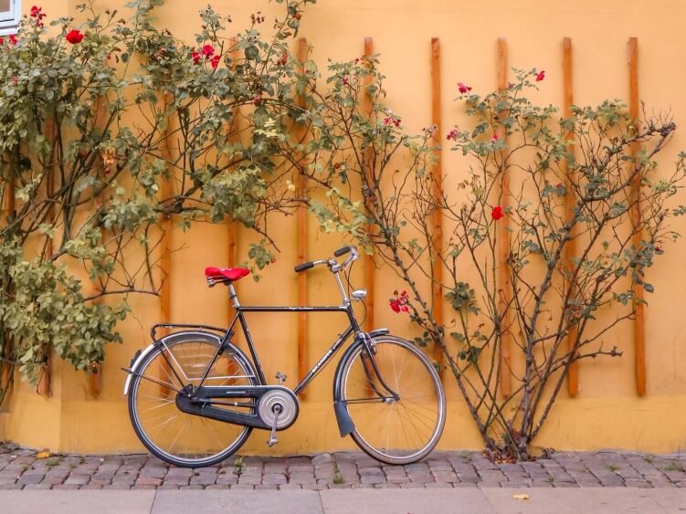 A bike parked in front of a bright yellow wall and bushes with blooming flowers