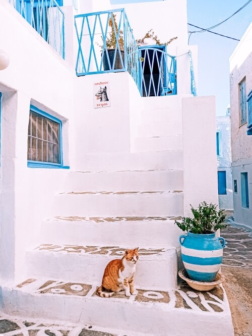 An orange cat sitting on the staircase of a traditional white house in the village of Plaka