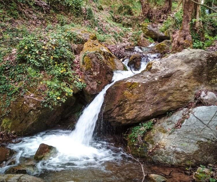 A small waterfall surrounded by green forest on the Centaurs' Path, one of the top hikes in Greece.