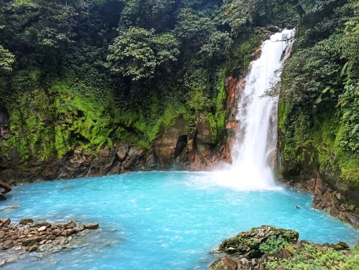 Bright blue Rio Celeste waterfall surrounded by green mossy cliffs and lush foliage