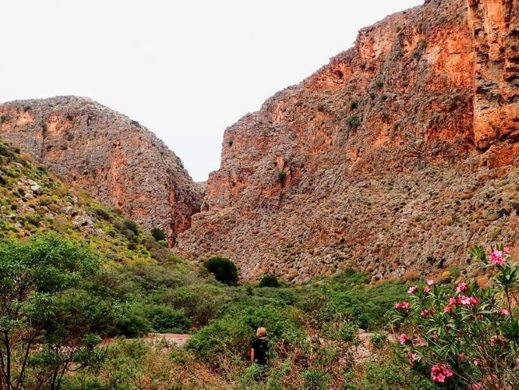The orange cliffs and green vegetation of Zakros gorge, a great place for hiking in Crete
