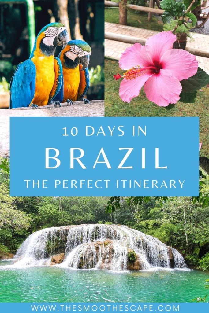 A Pinterest pin with images of a waterfall, a flower and macaws and a text overlay stating '10 days in Brazil, the perfect itinerary'.