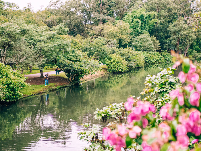 Admiring the lush green nature of Ibirapuera Park is one of the top things to do in Sao Paulo