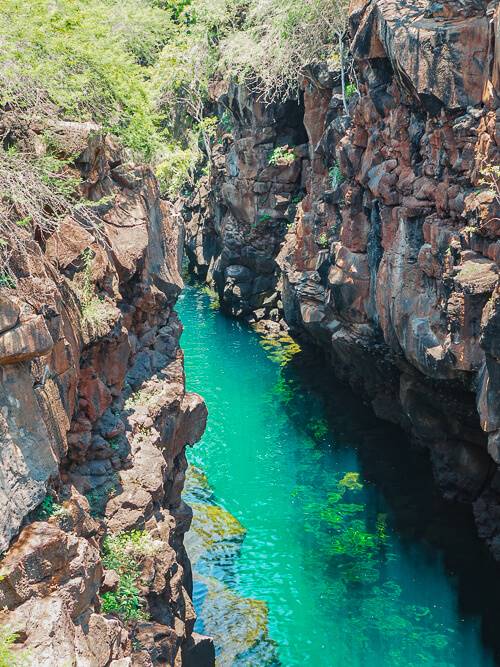 Las Grietas volcanic natural pool full of clear water and tropical fish