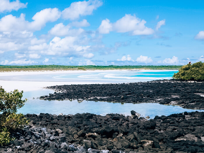 White sand and black lava rocks of Tortuga Bay, one of the best beaches on Galapagos Islands, Ecuador.