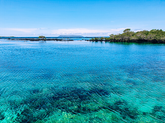 bright blue water at Concha de Perla natural pool, one of the best places for snorkeling in Galapagos