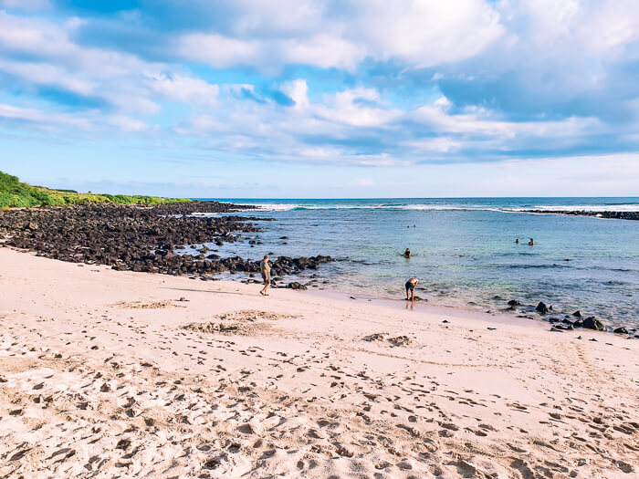 Snorkeling at Playa La Loberia at San Cristobal Island is among the top Galapagos land based tours to take if you're traveling on a budget.