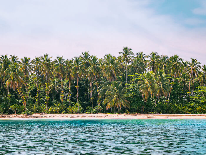 A row of palm trees, a strip of white sand and the bright blue Caribbean Sea at Zapatilla Island, Panama.