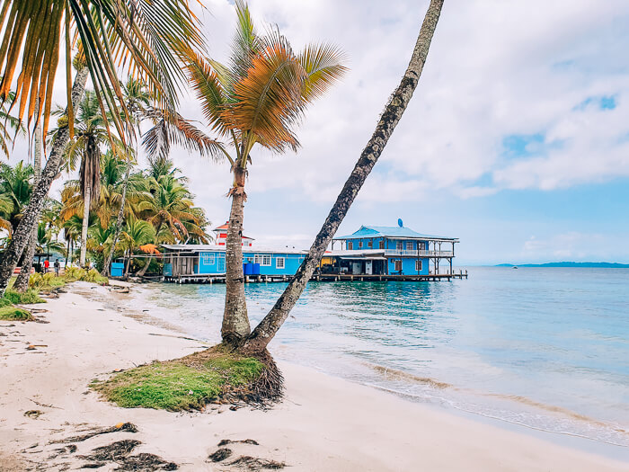 White sand, calm waters and a leaning palm tree on Isla Carenero, one of the top Bocas del Toro beaches due to its proximity to Bocas Town.