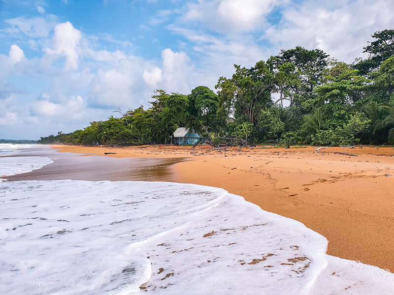 Foamy sea, green vegetation and orange sand at Playa Bluff which is certainly among the best beaches in Bocas del Toro.