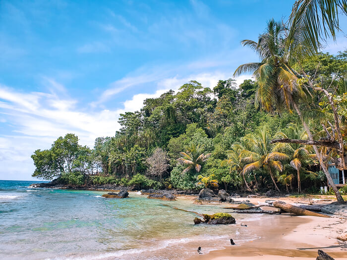 sandy beach, turquoise water and lush green jungle at Red Frog Beach in Bocas del Toro, Panama.