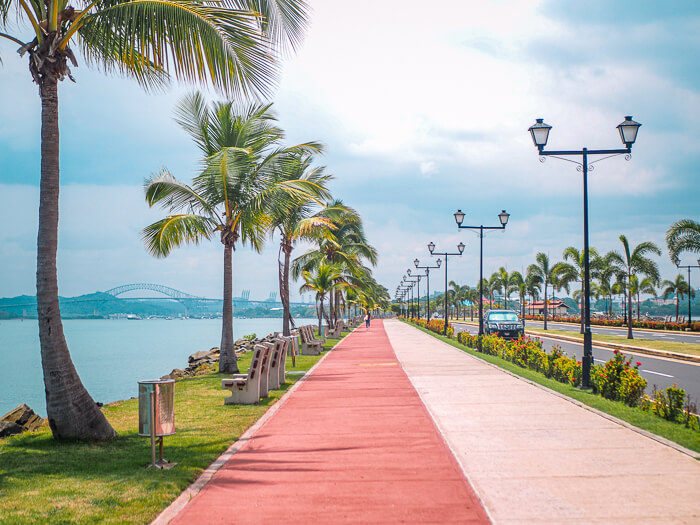 Strolling along the palm-tree lined walkway of Amador Causeway is one of the best things to do in Panama City