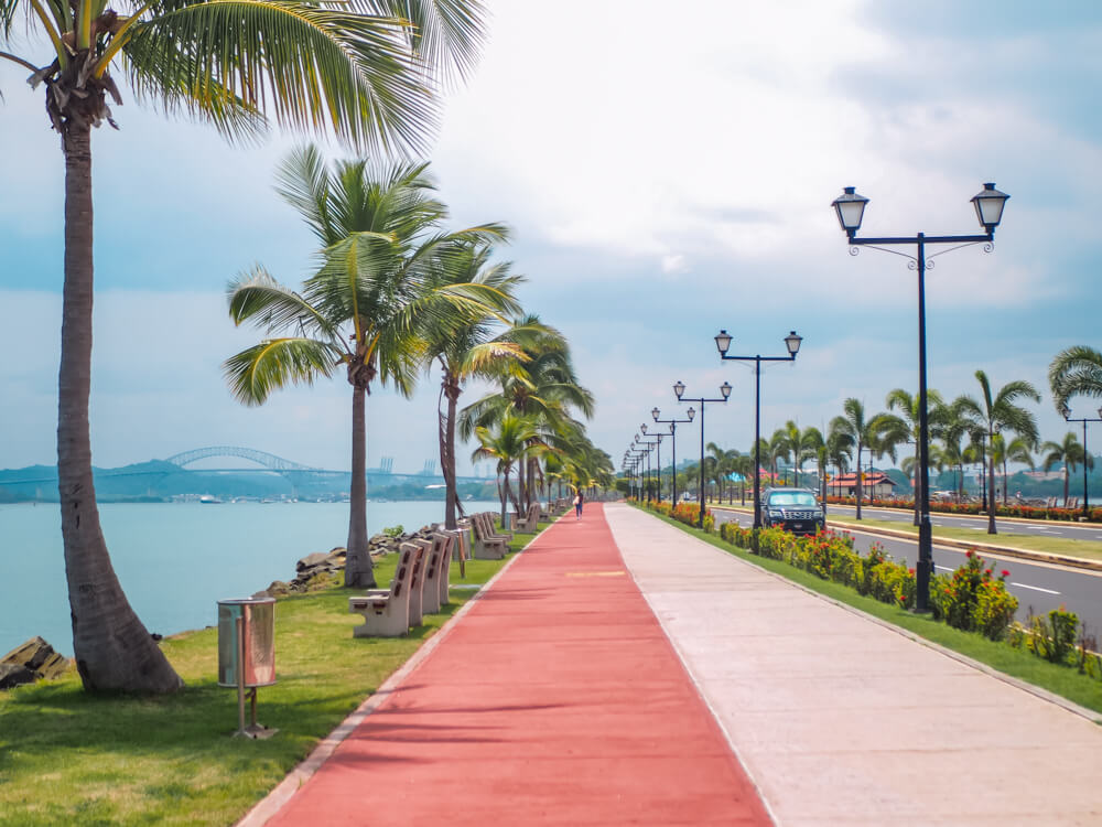 A walkway lined with benches and palm trees at Amador Causeway.