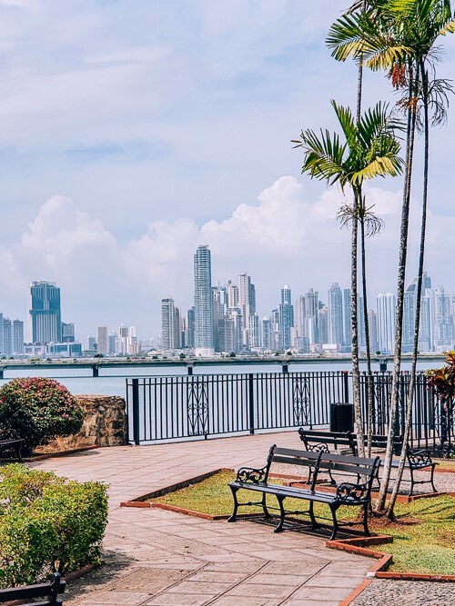 a small park with a bench and palm trees with a backdrop of skyscrapers