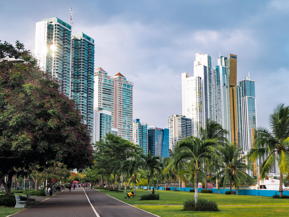 High-rise buildings soaring over Cinta Costera promenade bordered with palm trees and grassy fields.