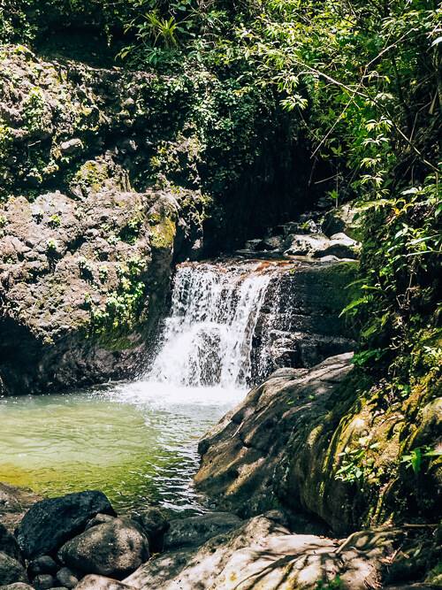 a small waterfall and a natural pool surrounded by rainforest in Panama