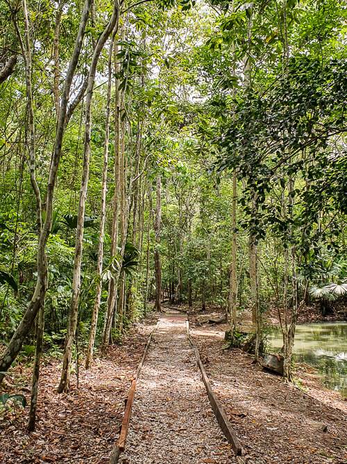 a walking trail in Metropolitan Natural Park, a great place for hiking and spotting exotic wildlife