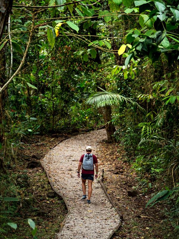 My husband walking along a gravel path surrounded by lush green vegetation.