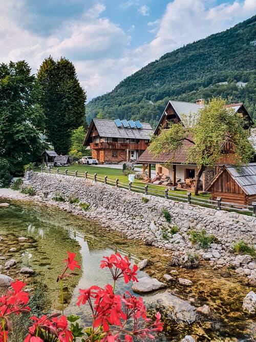 Red flowers and alpine chalets nestled in the mountains at Stara Fuzina village.
