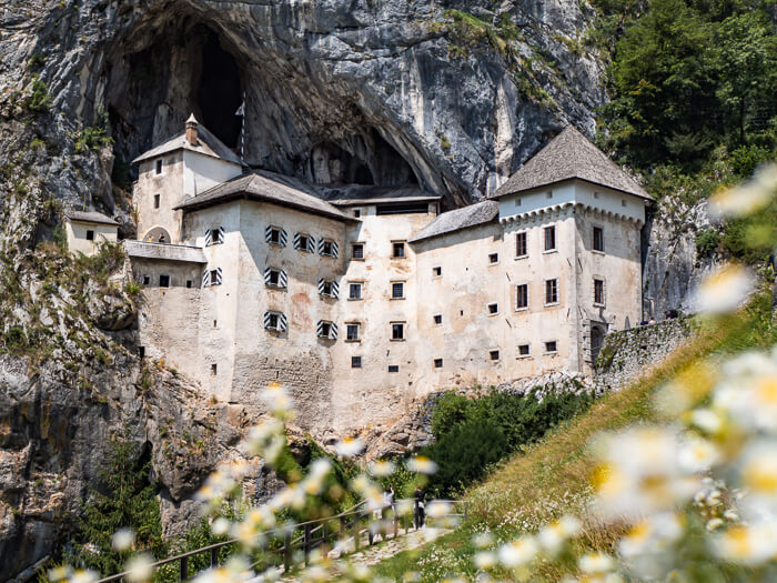 800-year-old white Predjama Castle built into a large cave, one of the best places to visit on a Slovenia road trip.