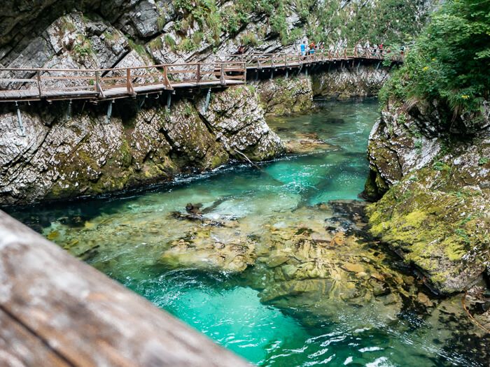 People admiring the turquoise river and walking on the elevated walkways at Vintgar Gorge, one of the best things to do at Lake Bled.