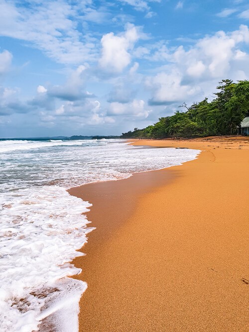 Orange sand and powerful foamy waves on Bluff Beach