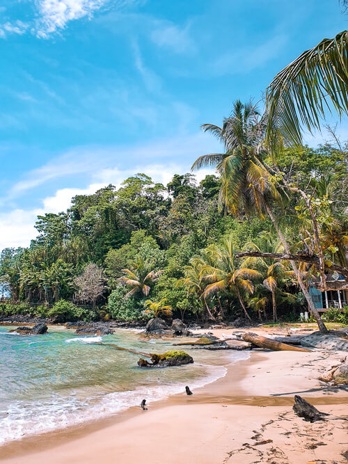 white sand, turquoise water and lush jungle at Red Frog Beach, Bocas del Toro