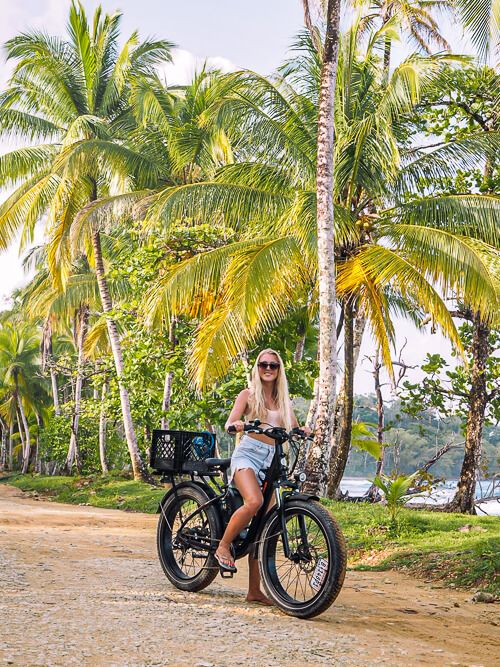 a woman on a black bicycle on a dirt road lined with palm trees