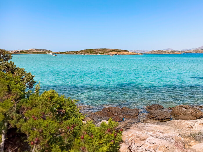 Vivid turquoise water of Antiparos Camping Beach, surely one of the best beaches in Antiparos Island, Greece