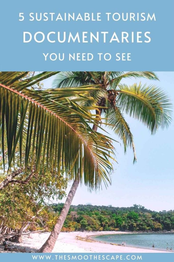 A Pinterest pin with an image of a palm tree on a sandy beach and a text overlay stating: 5 sustainable tourism documentaries you need to see.