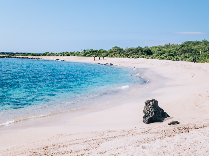 Coral sand beach Playa Punta Carola on San Cristobal island, a popular place for sea lions and marine iguanas to hang out