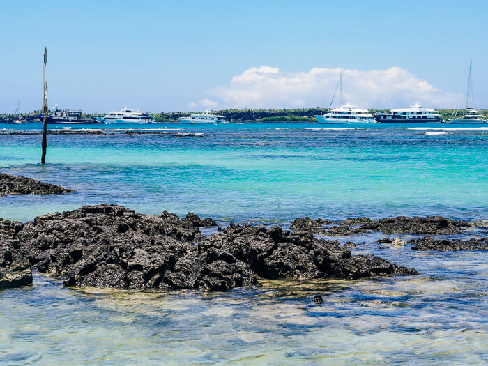 Volcanic rocks and emerald water at Playa de la Estacion, a tiny beach near Puerto Ayora, Ecuador