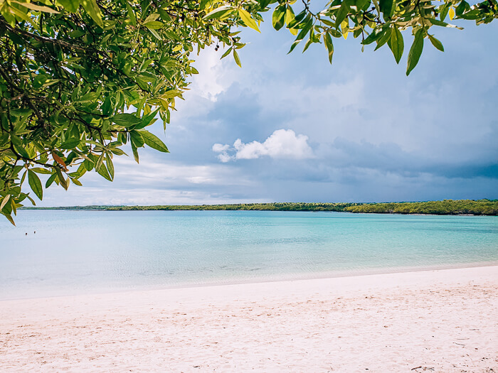 Fine white sand and calm blue water of Playa Mansa at Tortuga Bay