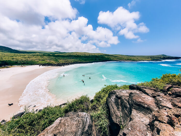 Turquoise water, green vegetation and white sand at Puerto Chino Beach, one of the best beaches in the Galapagos Islands