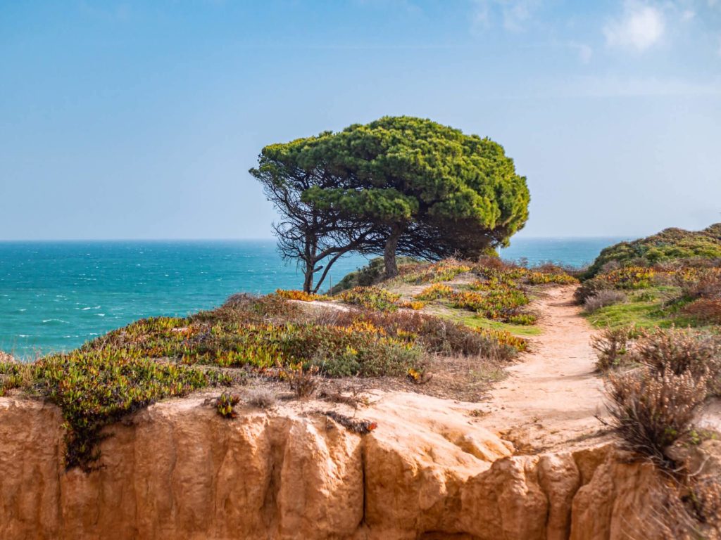 algarve travel plans