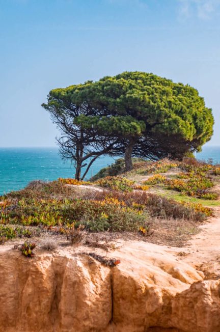 Hiking the Seven Hanging Valleys Trail in Algarve, Portugal