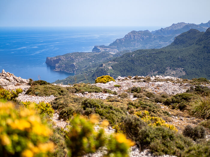 A panoramic view of the north coast of Mallorca from Archduke's Trail, a beautiful hike in Mallorca.