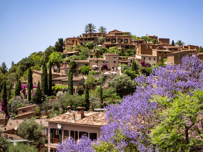 A viewpoint overlooking a blooming purple tree and the picturesque mountain village of Deia in Mallorca.