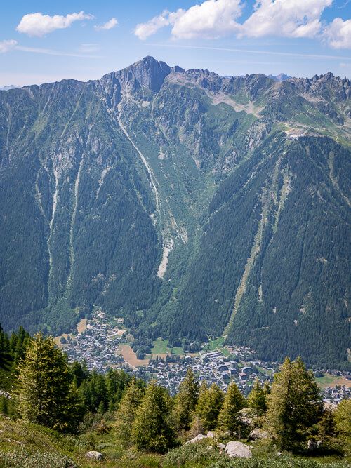 A view over the Chamonix valley and its steep forest-covered slopes