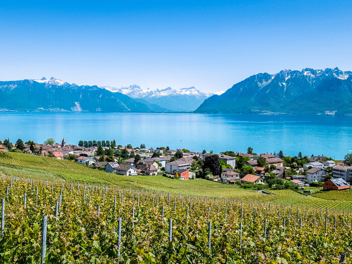 Picturesque vineyards with a backdrop of the tranquil Lake Geneva and snow-capped Alps